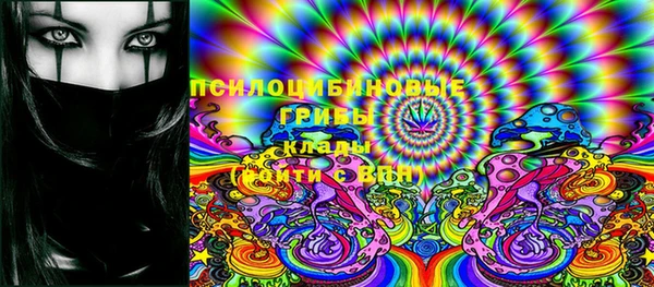 PSILOCYBIN Армянск