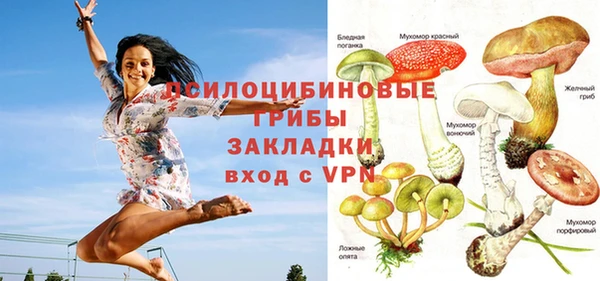 PSILOCYBIN Армянск